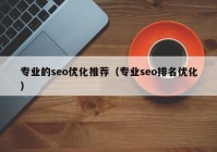 专业的seo优化推荐（专业seo排名优化）