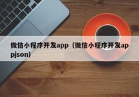 微信小程序开发app（微信小程序开发appjson）