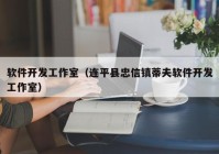 软件开发工作室（连平县忠信镇蒂夫软件开发工作室）