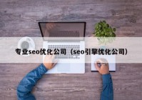 专业seo优化公司（seo引擎优化公司）