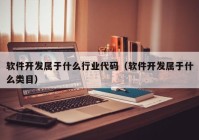 软件开发属于什么行业代码（软件开发属于什么类目）