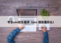 专业seo优化程序（seo 优化是什么）