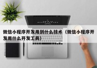 微信小程序开发用到什么技术（微信小程序开发用什么开发工具）