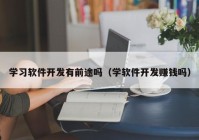 学习软件开发有前途吗（学软件开发赚钱吗）