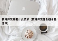 软件开发需要什么技术（软件开发什么技术最值钱）