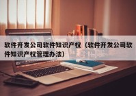 软件开发公司软件知识产权（软件开发公司软件知识产权管理办法）