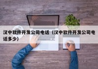 汉中软件开发公司电话（汉中软件开发公司电话多少）