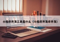 小程序开发工具是什么（小程序开发序开发）