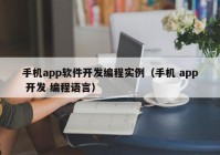 手机app软件开发编程实例（手机 app 开发 编程语言）