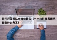 软件开发团队有哪些岗位（一个软件开发团队有些什么分工）