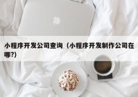 小程序开发公司查询（小程序开发制作公司在哪?）