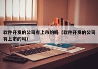 软件开发的公司有上市的吗（软件开发的公司有上市的吗）