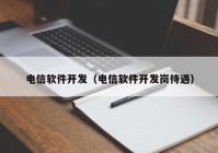 电信软件开发（电信软件开发岗待遇）