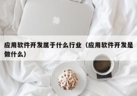 应用软件开发属于什么行业（应用软件开发是做什么）